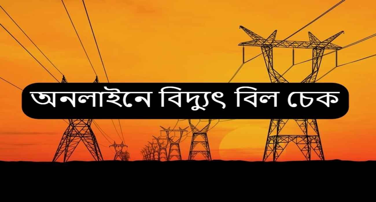 online vidyut bill check