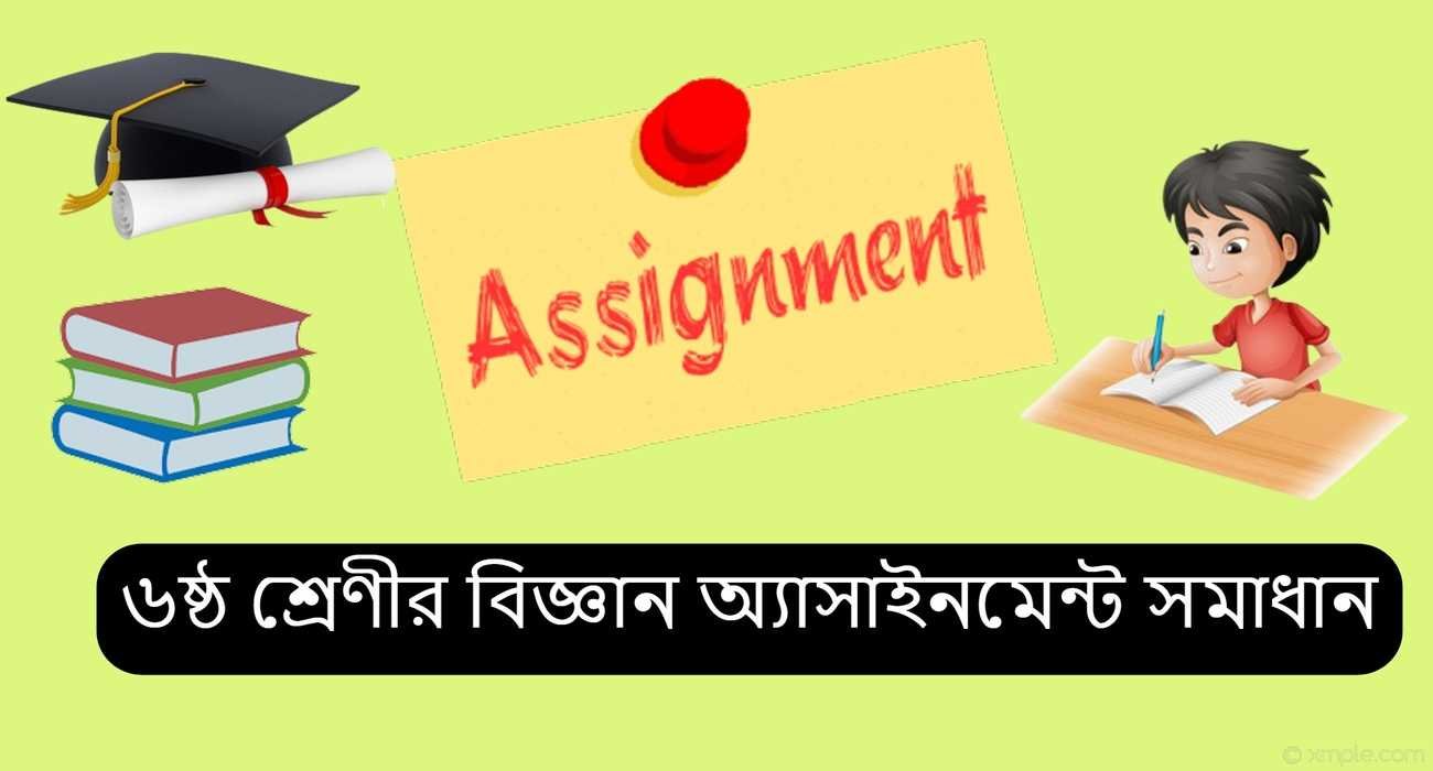 Class 6 Science Assignment Answer