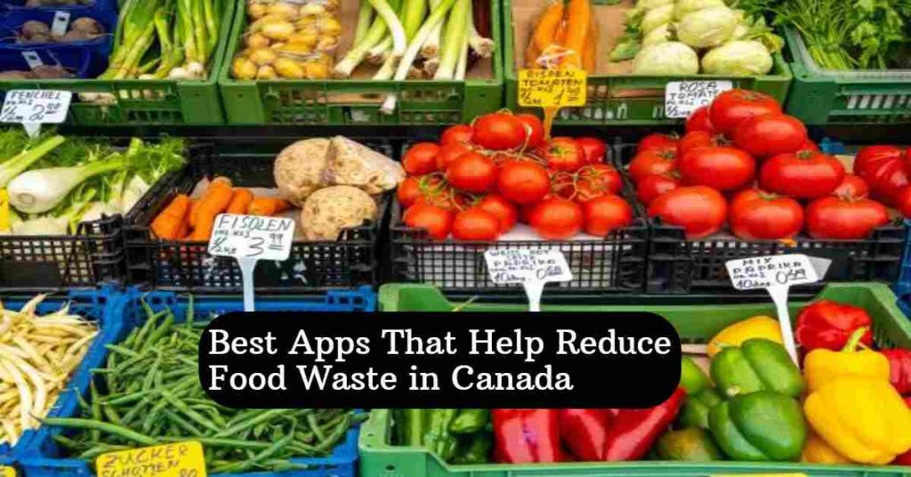 Apps That Help Reduce Food Waste