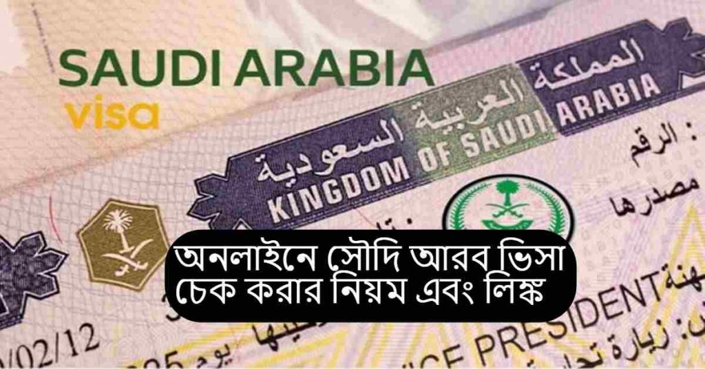 saudi visa check