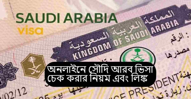 saudi visa check