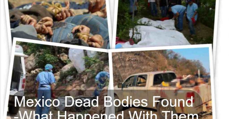Mexico Dead Bodies Found