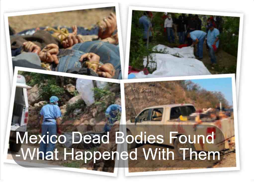 Mexico Dead Bodies Found