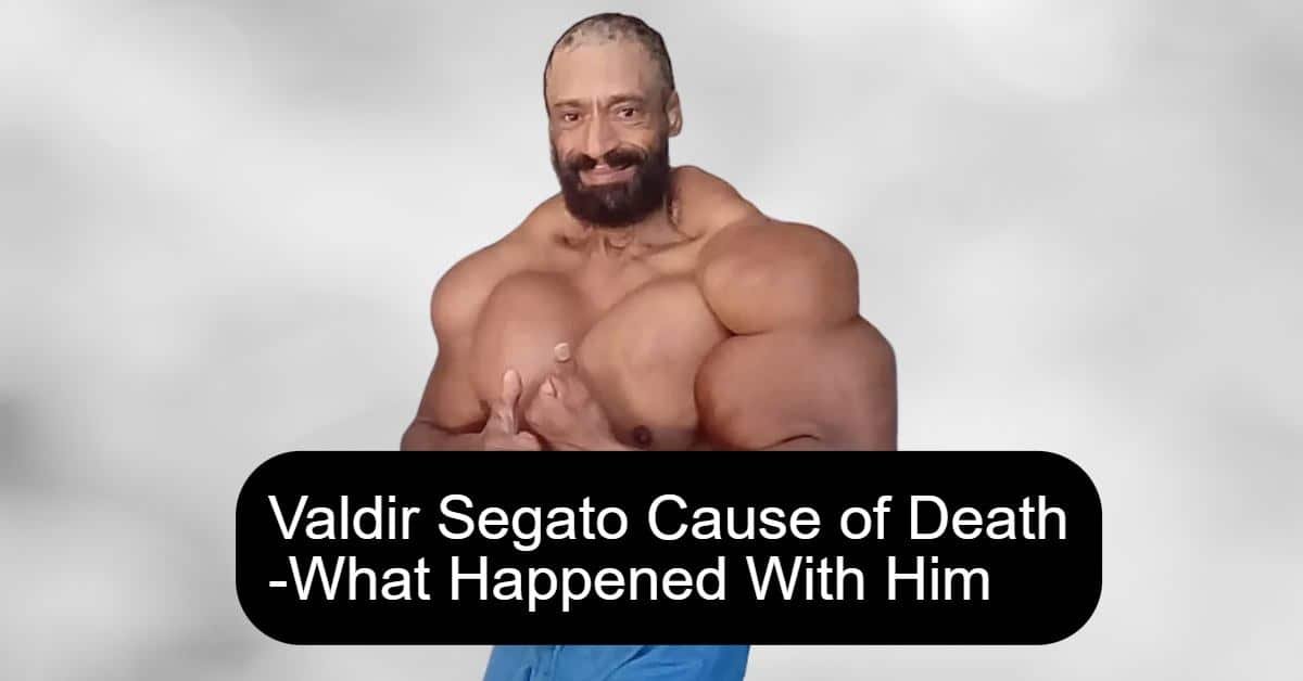 Valdir Segato