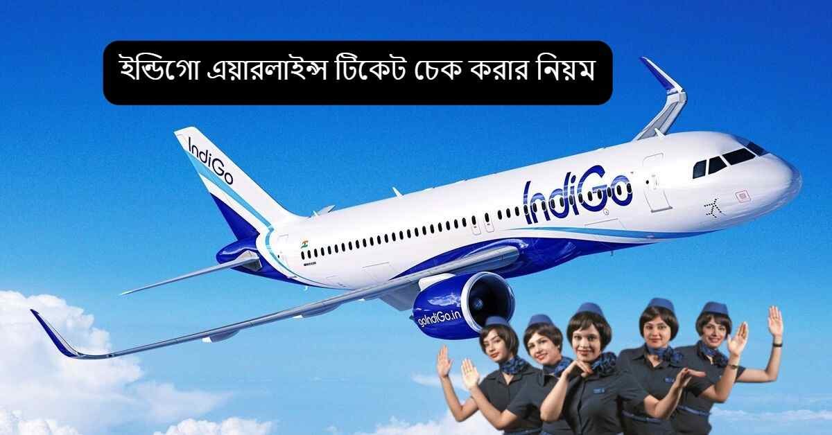 IndiGo Ticket Check 