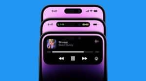 dynamic island notch