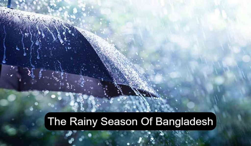 The Rainy Season Of Bangladesh