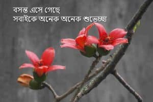 pohela falgun er picture